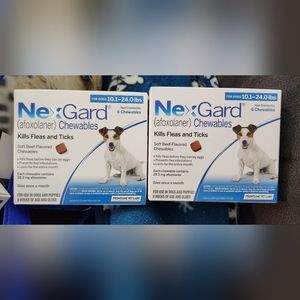 Nexgard for Dogs Flea & Tick 10.1-24lbs Two 6 Packs